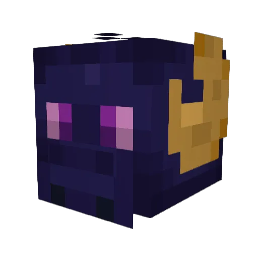 DracoTheDergen Minecraft avatar head, 3D render