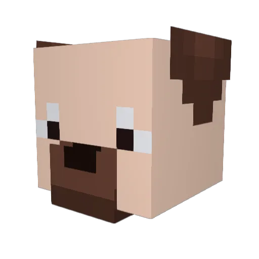 DracoZap21 Minecraft avatar head, 3D render