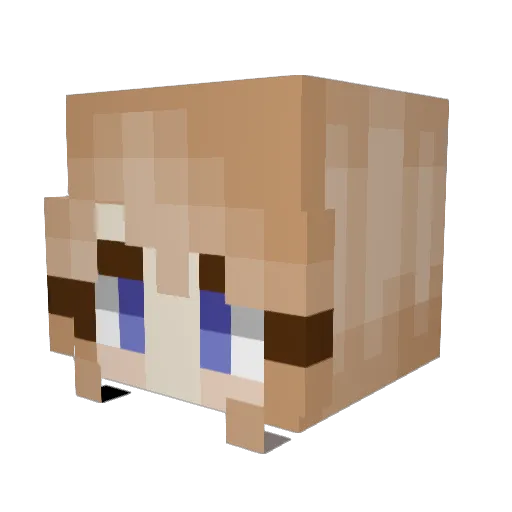 Draco_guy Minecraft avatar head, 3D render