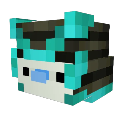 Dracolloce5 Minecraft avatar head, 3D render