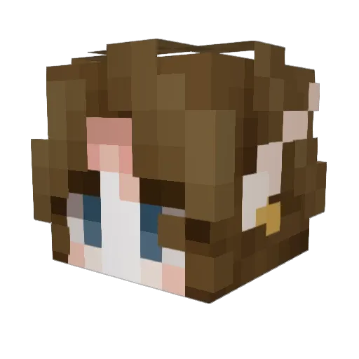 DraconicAsher Minecraft avatar head, 3D render