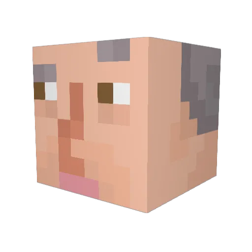 DraconicPi Minecraft avatar head, 3D render