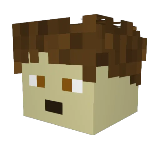 DraconicWF Minecraft avatar head, 3D render