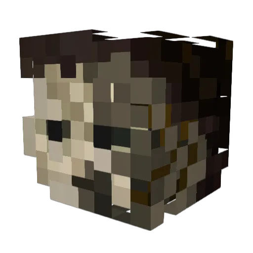 Draconis133 Minecraft avatar head, 3D render