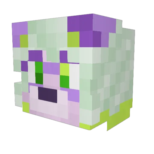 Draedpan Minecraft avatar head, 3D render