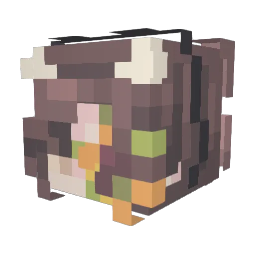 Draek0ra Minecraft avatar head, 3D render