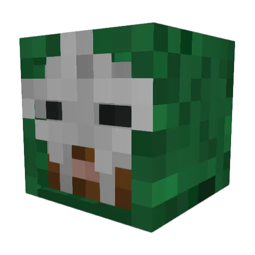 DrafBois Minecraft avatar head, 3D render