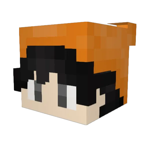 DrafterCraft Minecraft avatar head, 3D render