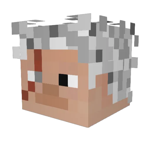 Drag0nL0rds Minecraft avatar head, 3D render