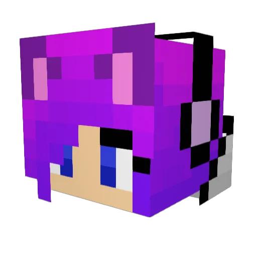 Drag0nsAngel Minecraft avatar head, 3D render