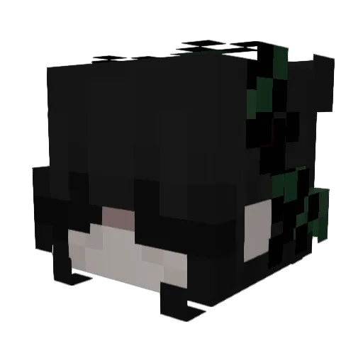 DragClickers Minecraft avatar head, 3D render