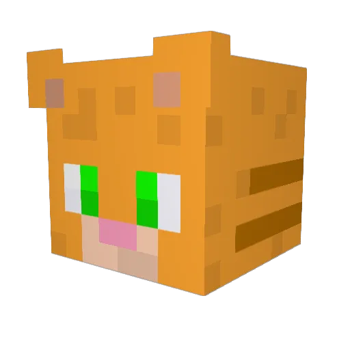 DragRC Minecraft avatar head, 3D render