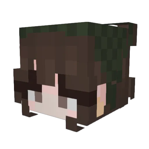 Drageji Minecraft avatar head, 3D render