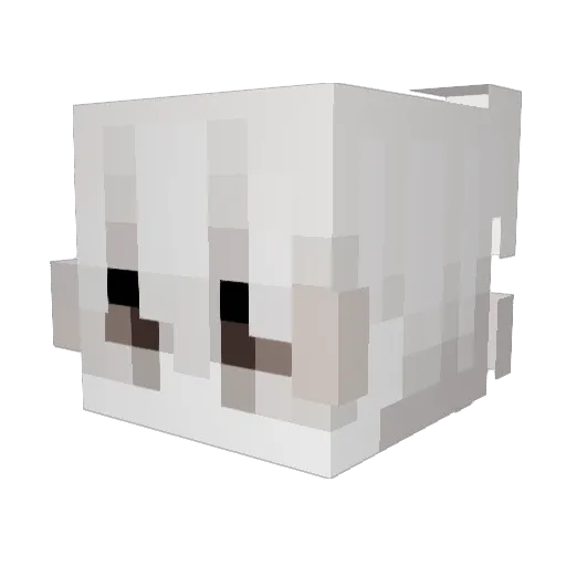 Draggnx Minecraft avatar head, 3D render