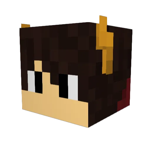 DraggonT113 Minecraft avatar head, 3D render
