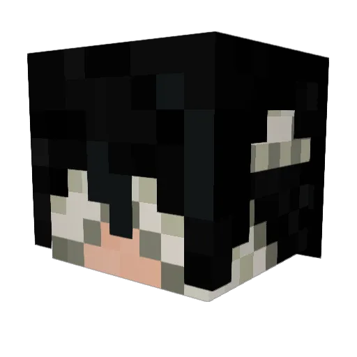 Draghood Minecraft avatar head, 3D render