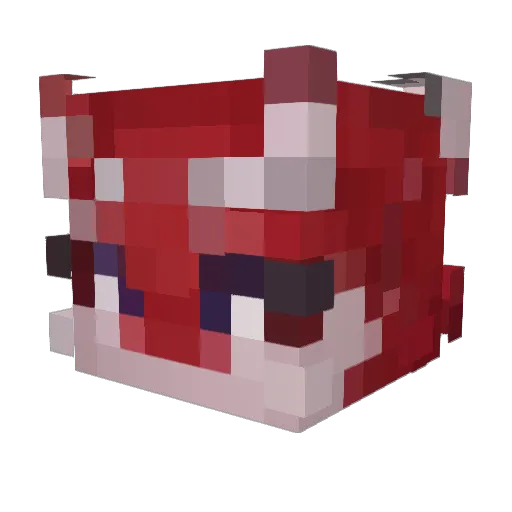 Dragich_ Minecraft avatar head, 3D render