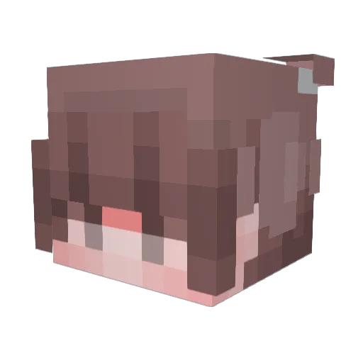 Dragnono Minecraft avatar head, 3D render