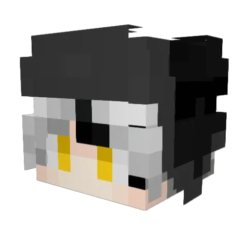 Drago1404 Minecraft avatar head, 3D render