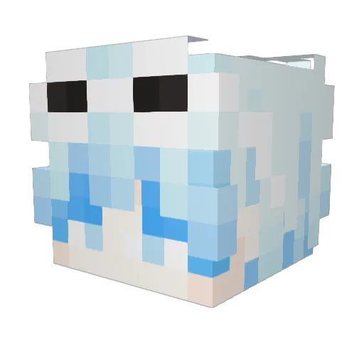 Drago2365 Minecraft avatar head, 3D render