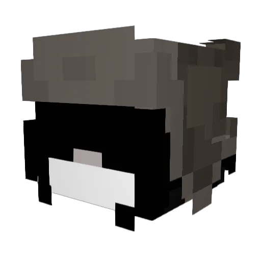 DragoL57 Minecraft avatar head, 3D render