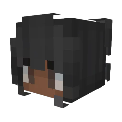 DragoWheel Minecraft avatar head, 3D render