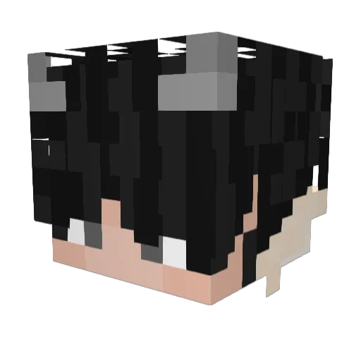 Drago_780 Minecraft avatar head, 3D render