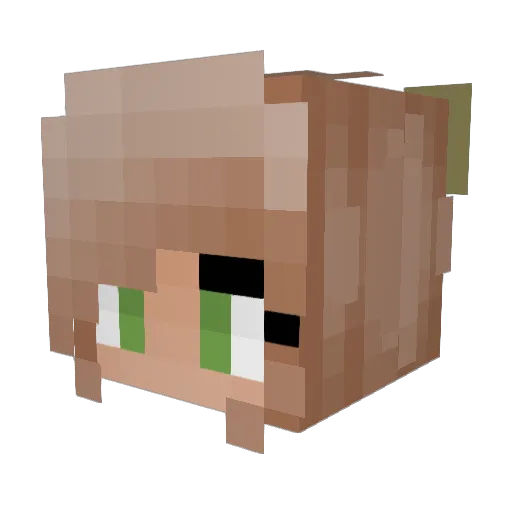 Dragon172020 Minecraft avatar head, 3D render