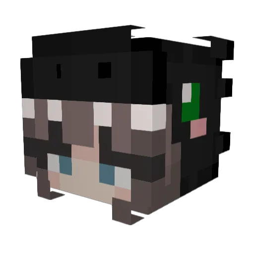 Dragon20145 Minecraft avatar head, 3D render