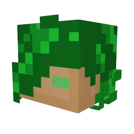 Dragon654 Minecraft avatar head, 3D render