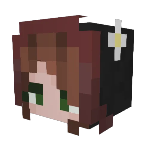 Dragon773202 Minecraft avatar head, 3D render