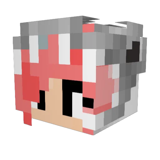 DragonBear4200 Minecraft avatar head, 3D render