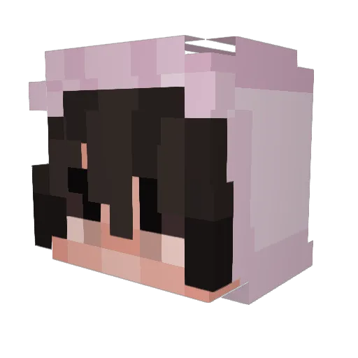 DragonBec Minecraft avatar head, 3D render