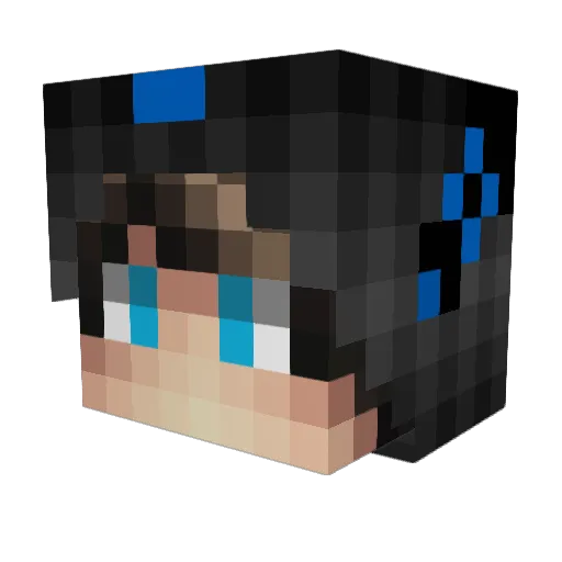 DragonBorn2009 Minecraft avatar head, 3D render