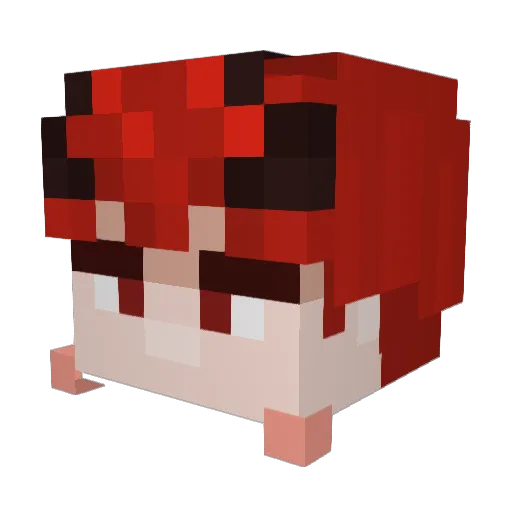 Minecraft-Avatar von DragonByte01: Kopf als 3D-Render