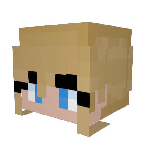 DragonCode06 Minecraft avatar head, 3D render