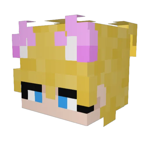 DragonCraft4 Minecraft avatar head, 3D render