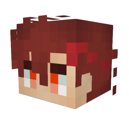 DragonDragon85 Minecraft avatar head, 3D render
