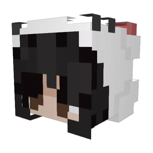 DragonDrake10 Minecraft avatar head, 3D render