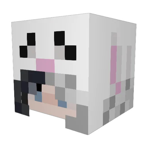 DragonEnders1 Minecraft avatar head, 3D render