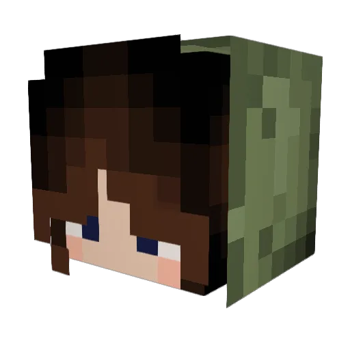 DragonEye145 Minecraft avatar head, 3D render