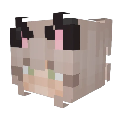DragonFlame0066 Minecraft avatar head, 3D render