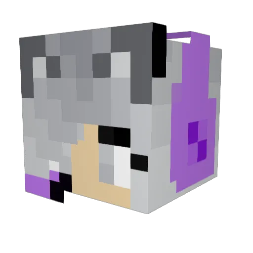 DragonFlame9871 Minecraft avatar head, 3D render
