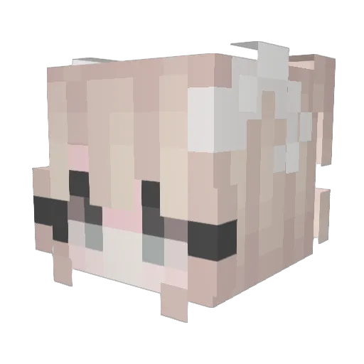 DragonFlyOAO Minecraft avatar head, 3D render