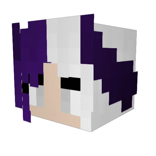 DragonFury666 Minecraft avatar head, 3D render