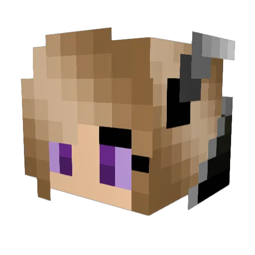 DragonGamer116 Minecraft avatar head, 3D render