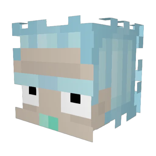 DragonGamerBME Minecraft avatar head, 3D render