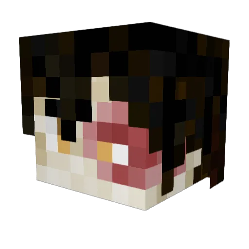 DragonGuard42 Minecraft avatar head, 3D render