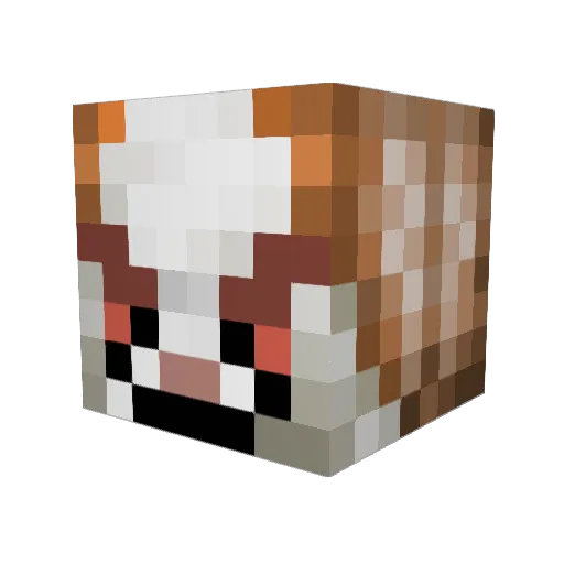 DragonHunter14 Minecraft avatar head, 3D render