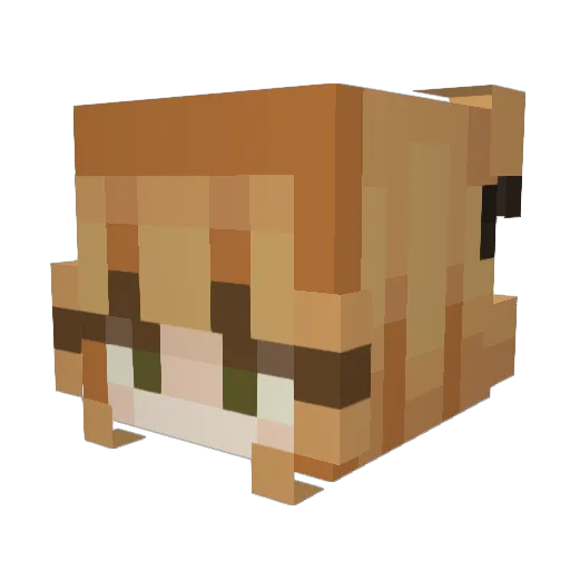 DragonKitty134 Minecraft avatar head, 3D render